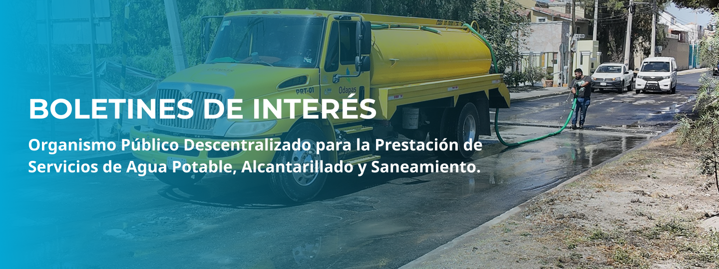 Boletines de Interés